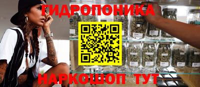 шишки Конаково