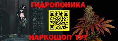 шишки Конаково