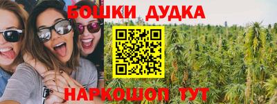сатива Коммунар