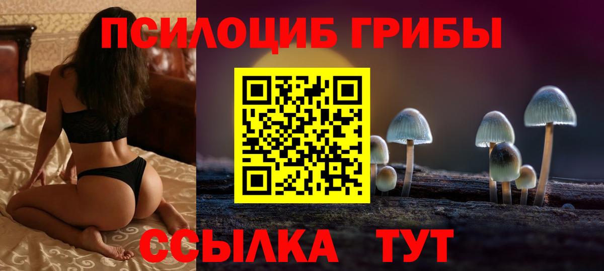 Псилоцибиновые грибы ЛСД Кузнецк
