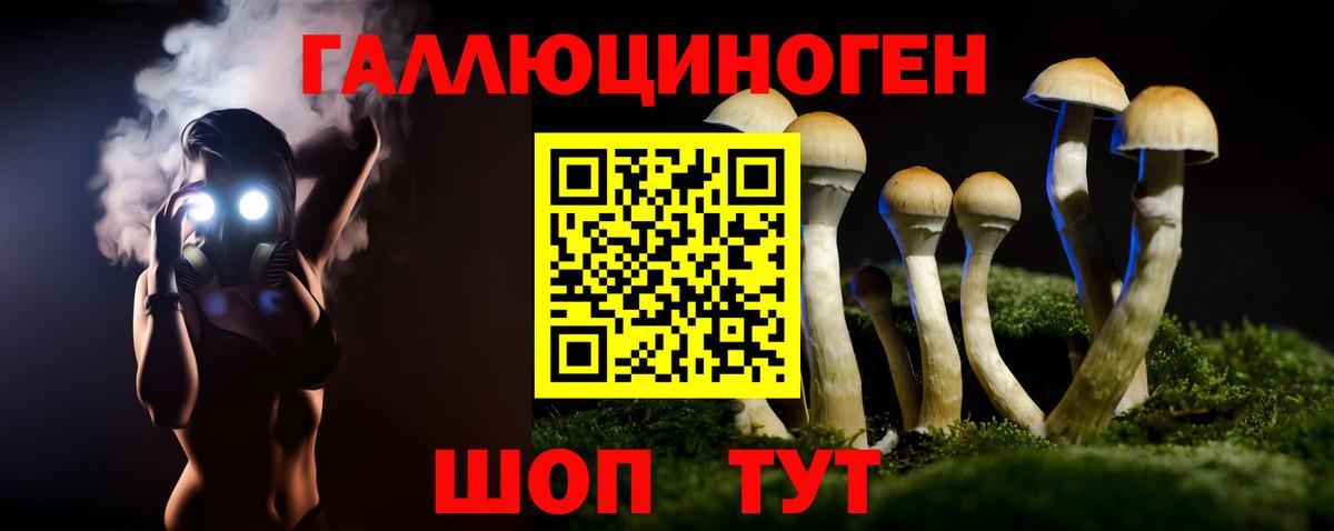 Псилоцибиновые грибы мицелий  Псилоцибиновые грибы Psilocybe  где можно купить наркотик  Вход с VPN  Кузнецк 